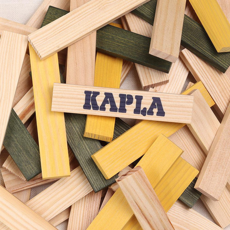 KAPLA Spider Case-Kapla-Kapla-Acorns & Twigs