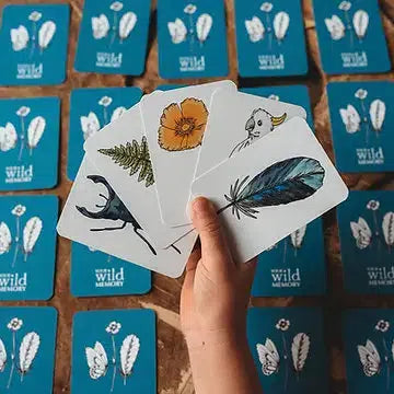 Your Wild Memory Card Game-Nature Activities-Your Wild Books-Acorns & Twigs